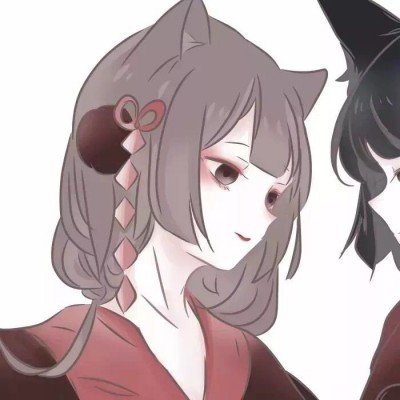 动物园公狼挖洞越狱